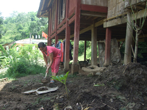 Cứ mưa là đất sạt lở xuống nhà chị Xuân ở xã Phúc Sạn (Mai Châu)